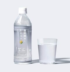 1番の若さと肌の綺麗さ