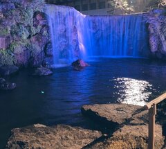 ありがとう世界