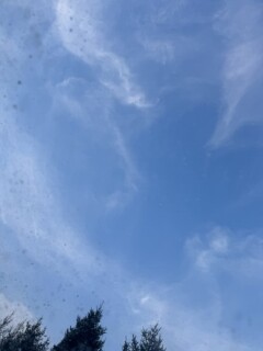 申し訳ございません...