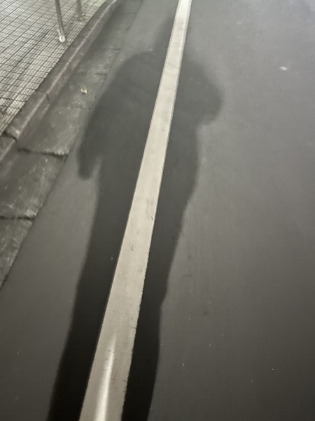 久しぶりに良い天気