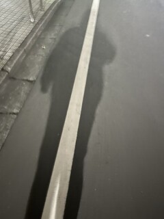 久しぶりに良い天気