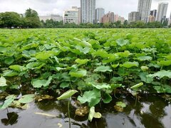 お久しぶりです、剣持です⚔️