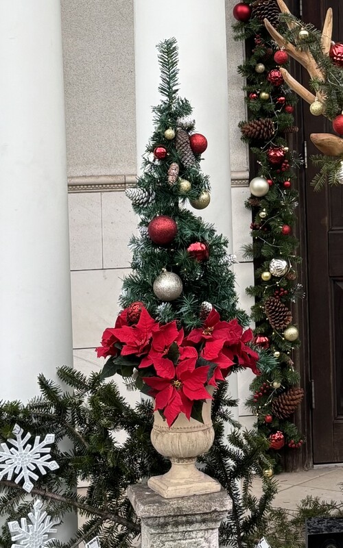 メリークリスマスイブ🎄✨