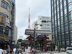 すっかり秋っぽいですね