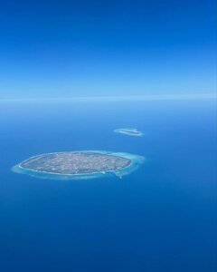 🟥✨🪼🪼🪼✨🟥