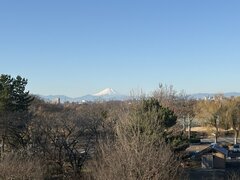 あけましておめでとうございます