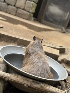 お泊まり解禁！