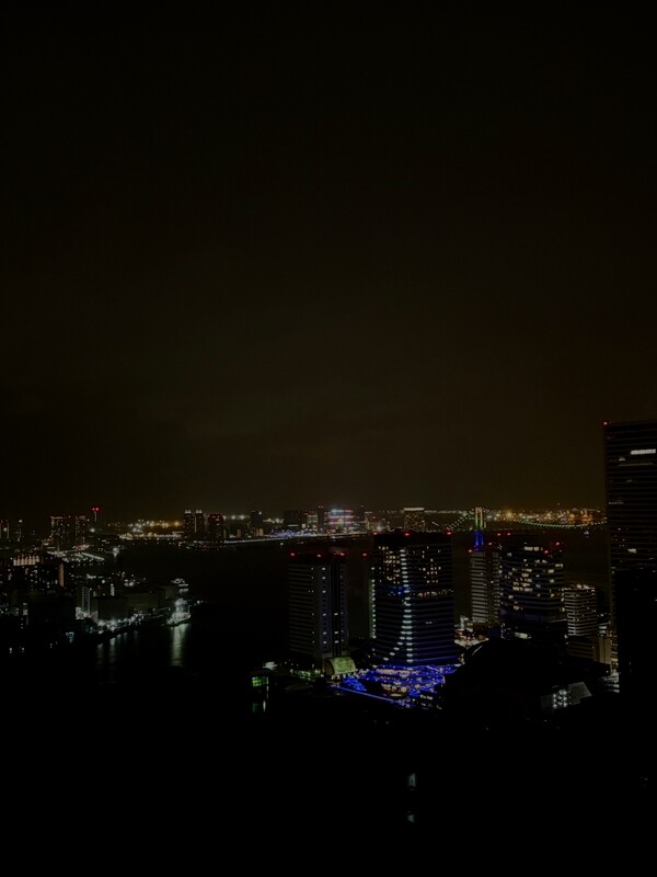 出張お泊まり🌉