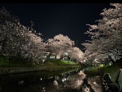 春ですね🌸本日お泊まりOK(オール出来ます)