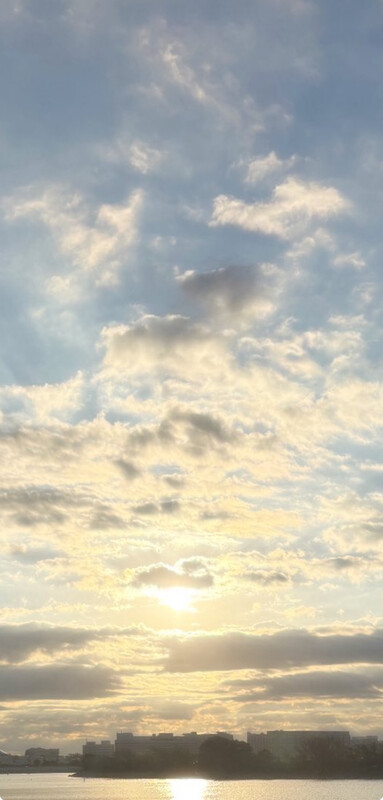 🎍謹賀新年🎍