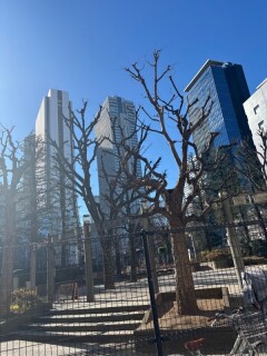 あけましておめでとうございます！