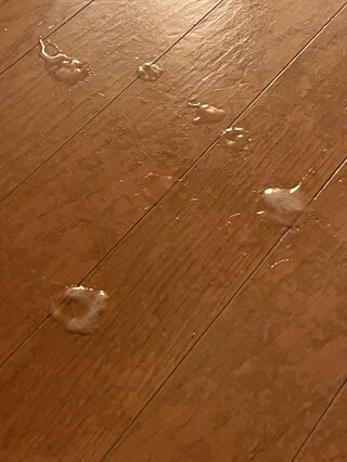 アップロード画像