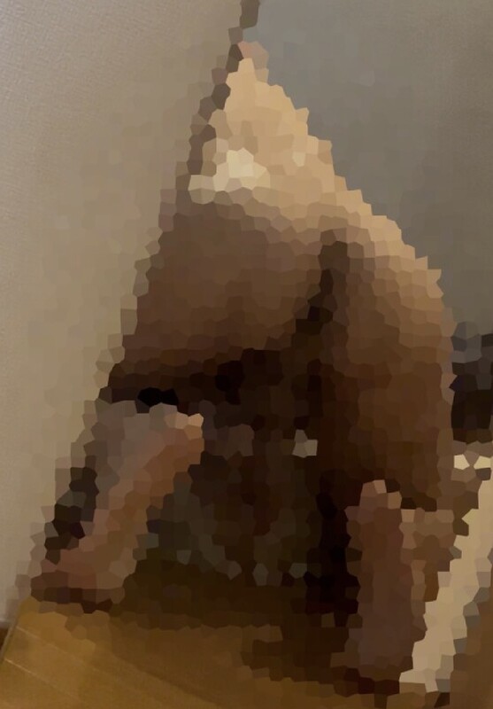 🍑