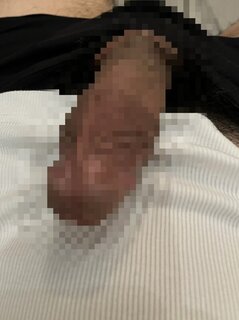 直近の予定🌳🍉