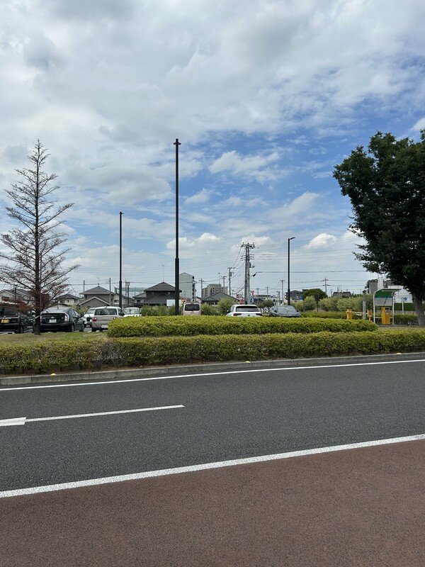 雨ですが、、、