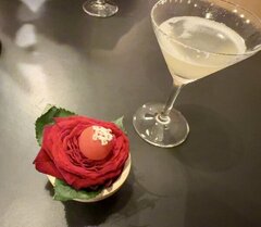 君という可能性の獣